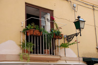 Naples Oct 09 037