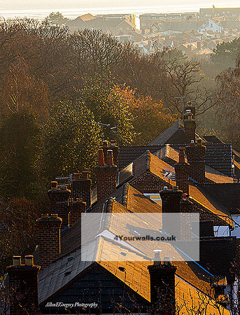 chimney-tops-colour-sm-