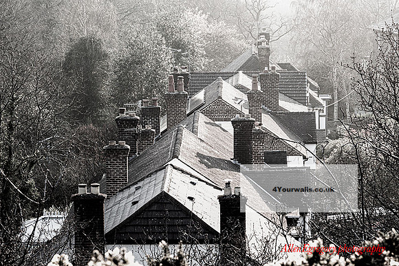 chimney-tops-bw-sm-