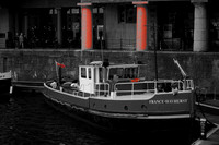 DSC01899