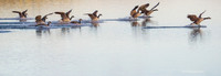 Autumntakeoff