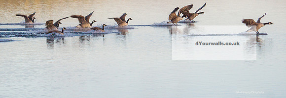 Autumntakeoff