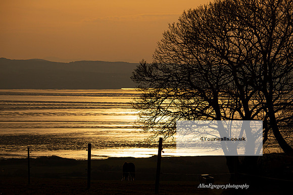 Dee Sunset - from oldfield