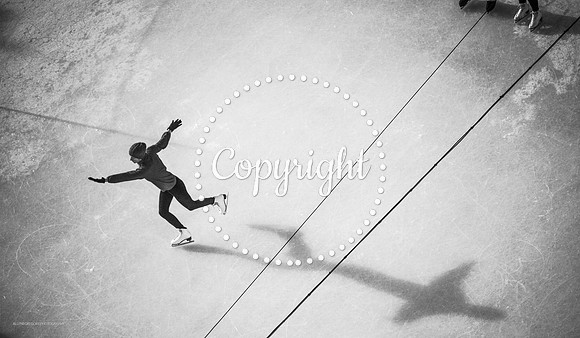 WATERMARKED VIENA ICERING BW IMAGE(1)