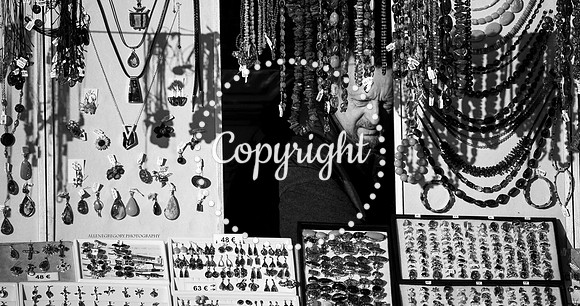 watermark bw vienna xmas market stalls 3 belvedere(3) copy
