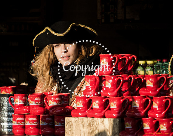 watermark Vienna Xmas Market  - Gluewein market Stall Holder(1) P300