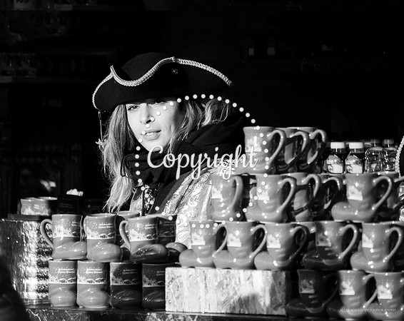 bw vienna xmas market stalls 2 belvedere(2)