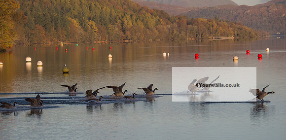 LAKESAEG