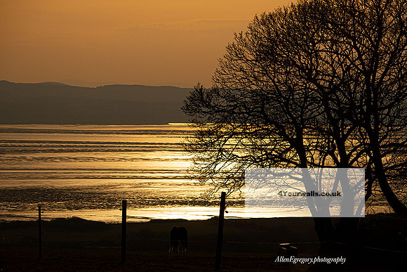 Dee-Sunset-SM---from-oldfield